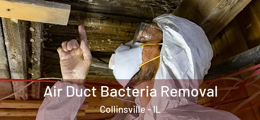 Air Duct Bacteria Removal Collinsville - IL