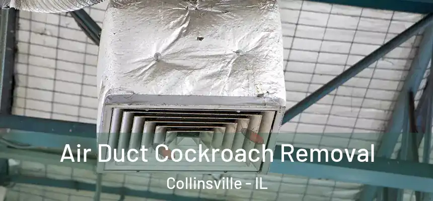  Air Duct Cockroach Removal Collinsville - IL