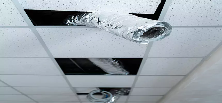 Our Air Duct Pet Hair Removal Services in Collinsville, IL