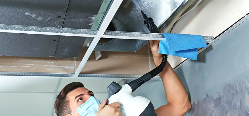 Our Air Duct Rodent Removal Services in Collinsville, IL