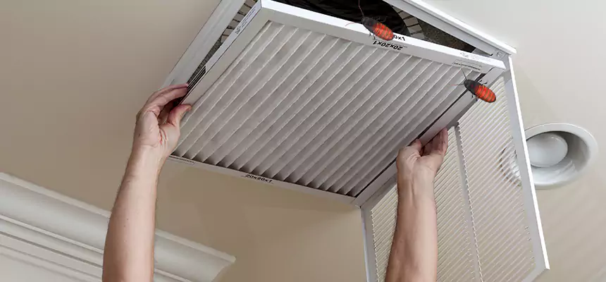 Our Insect Removal from Air Ducts Services in Collinsville, IL