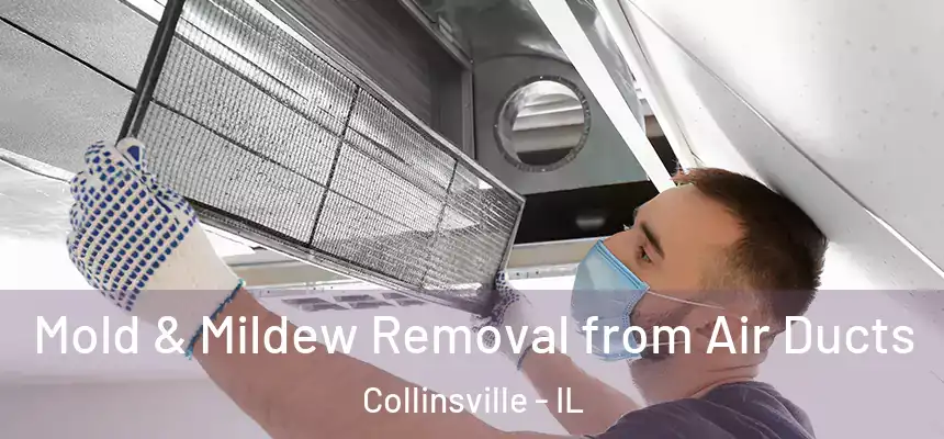 Mold & Mildew Removal from Air Ducts Collinsville - IL