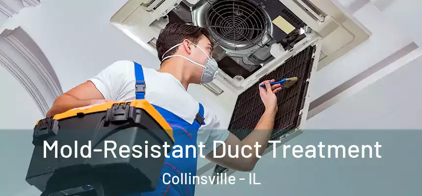  Mold-Resistant Duct Treatment Collinsville - IL