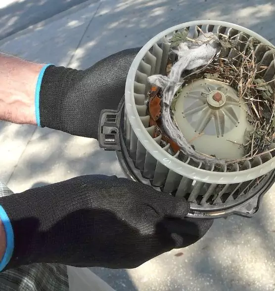 About Air Duct Mice Removal in Collinsville, IL