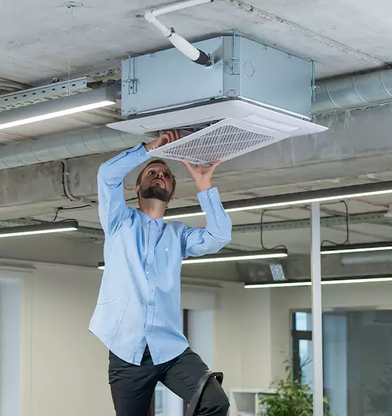 Advanced Rodent Droppings In Vents in Collinsville, IL
