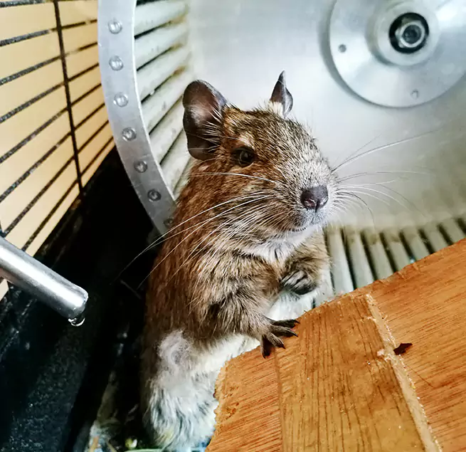 Why Homeowners & Businesses Trust Us Collinsville, IL