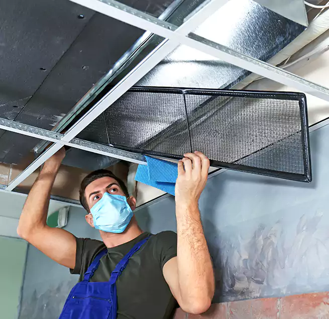 Why Homeowners Businesses Trust Us in Collinsville, IL